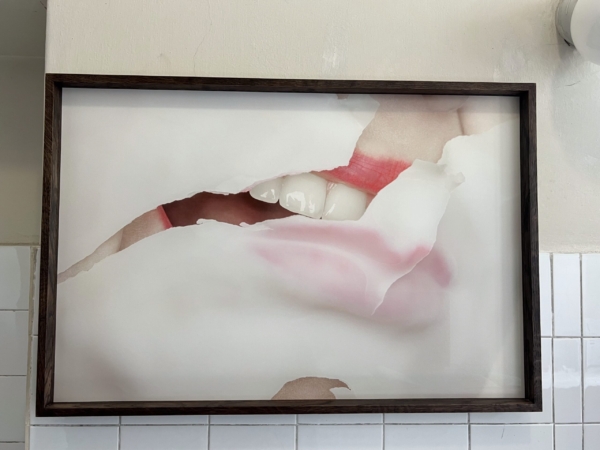 wystawa, zdjęcie z wystawy, sztuka, szary, dzieło, wystawa w Warszawie